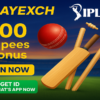 Playexch